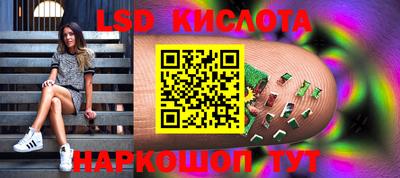 apvp Бийск