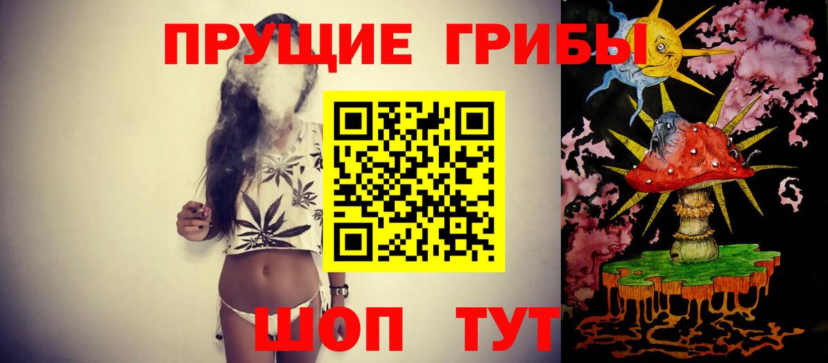 Псилоцибиновые грибы Magic Shrooms  Вход с VPN  где продают   Кандалакша 