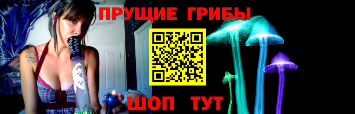 Галлюциногенные грибы Psilocybine cubensis Кандалакша